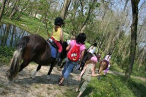 Lire la suite à propos de l’article Balade à cheval et poney à Troyes