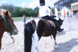 Lire la suite à propos de l’article Pourquoi choisir l’équitation pour vos enfants dans l’Aube ?