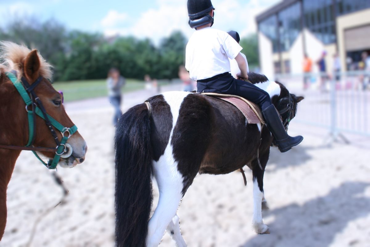 You are currently viewing Pourquoi choisir l’équitation pour vos enfants dans l’Aube ?