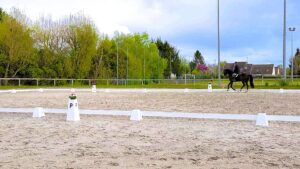 Lire la suite à propos de l’article Le dressage au Centre Équestre de la Rivière-de-Corps