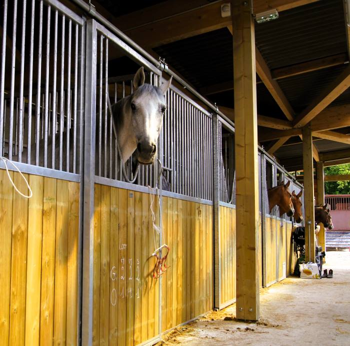 You are currently viewing Pension pour chevaux dans l’Aube