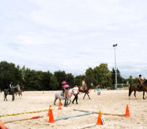 Lire la suite à propos de l’article EquifFun et poney games dans l’Aub