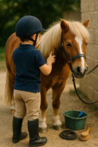Lire la suite à propos de l’article Préparer son poney avant de monter