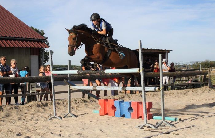 cavalier faisant un saut à cheval