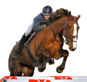 Lire la suite à propos de l’article Sport à Troyes : la compétition équestre