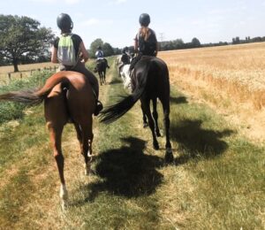 Lire la suite à propos de l’article Balade à cheval à deux pas de Troyes